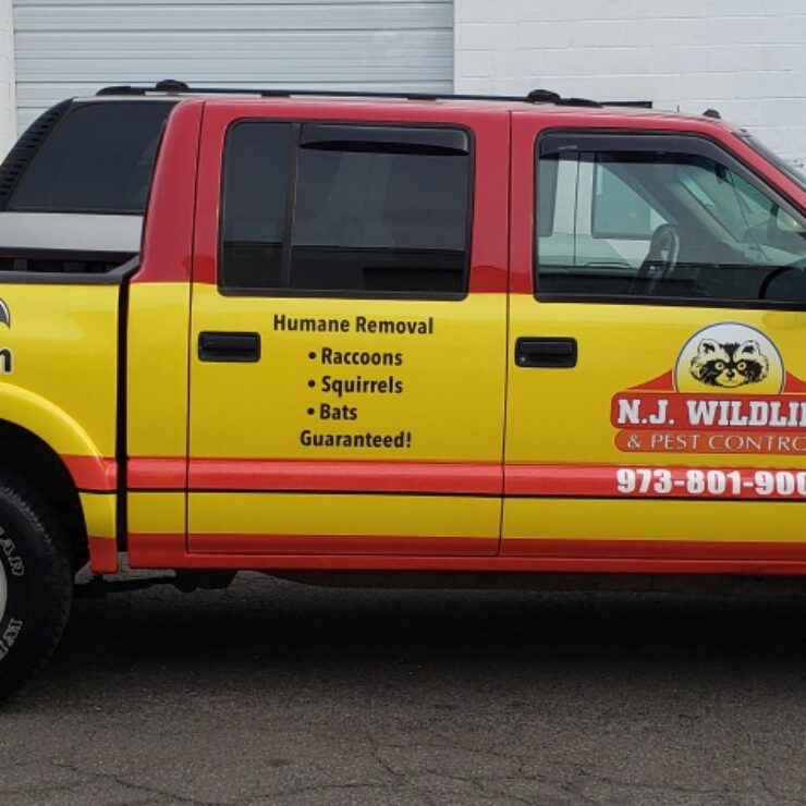 NJ Wildlife partial wrap