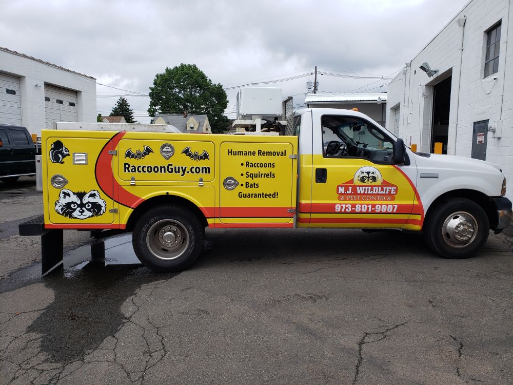 Ford Utility truck partial wrap