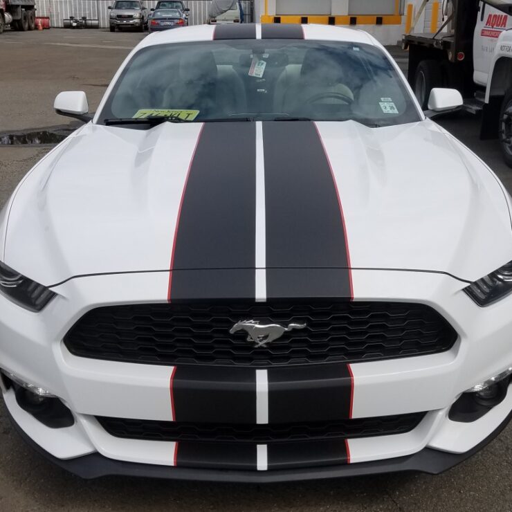 Ford Mustang black racing stripes