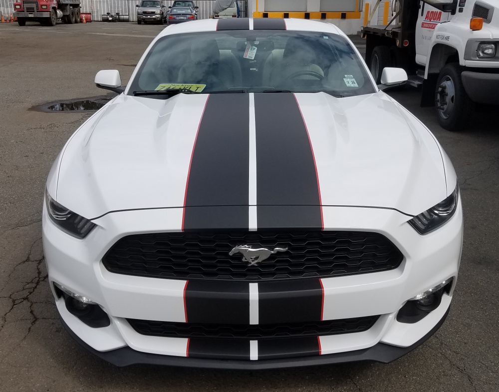 Ford Mustang black racing stripes
